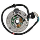 Stator d'allumage Daytona Anima FSM / fiddy racer
